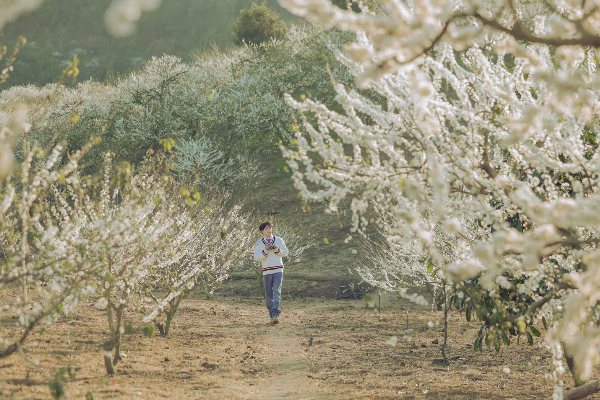 2D1N Moc Chau Tour - photo 7